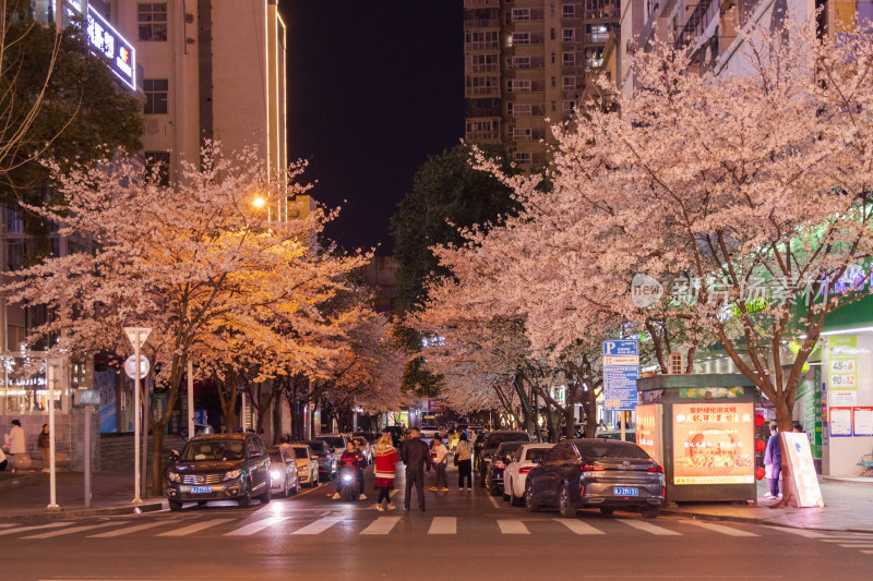 湖南常德府坪街春季樱花街道夜景