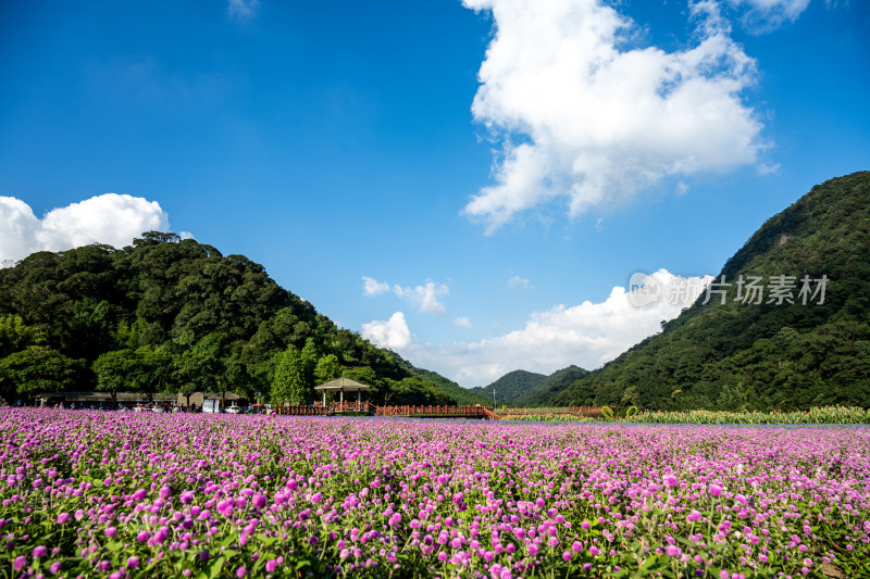 从化石门森林公园天池花海