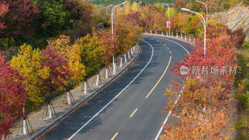 秋天多彩树木环绕的蜿蜒公路