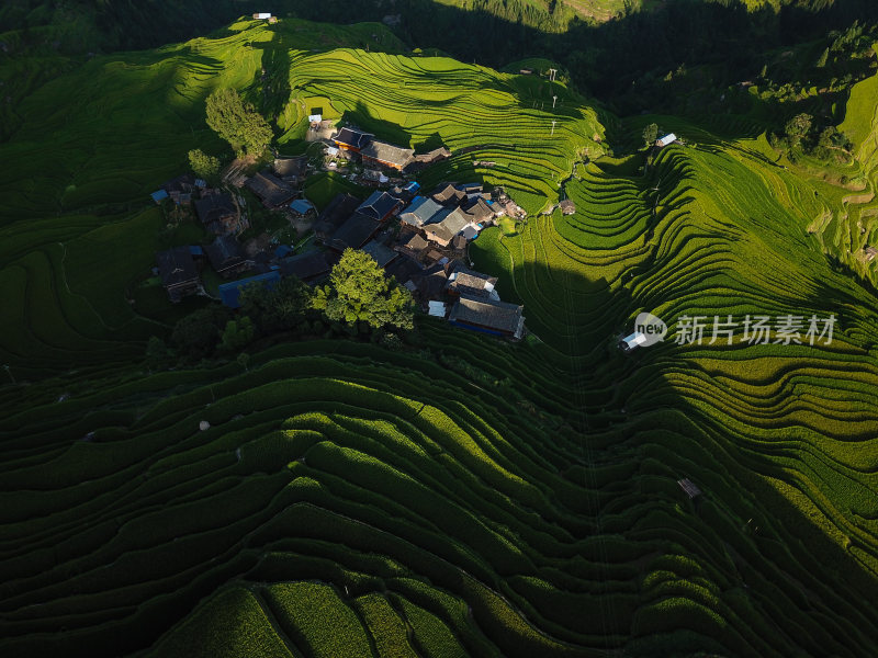 贵州黔东南从江县加榜梯田田园风光