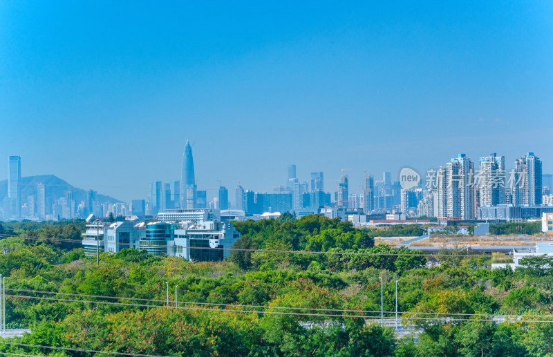 深圳湾CBD城市摩天大楼建筑群