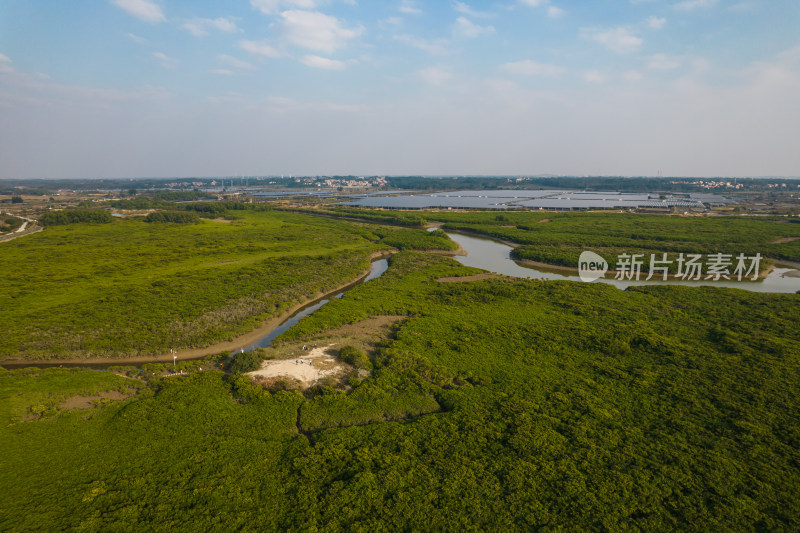 湛江高桥红树林保护区