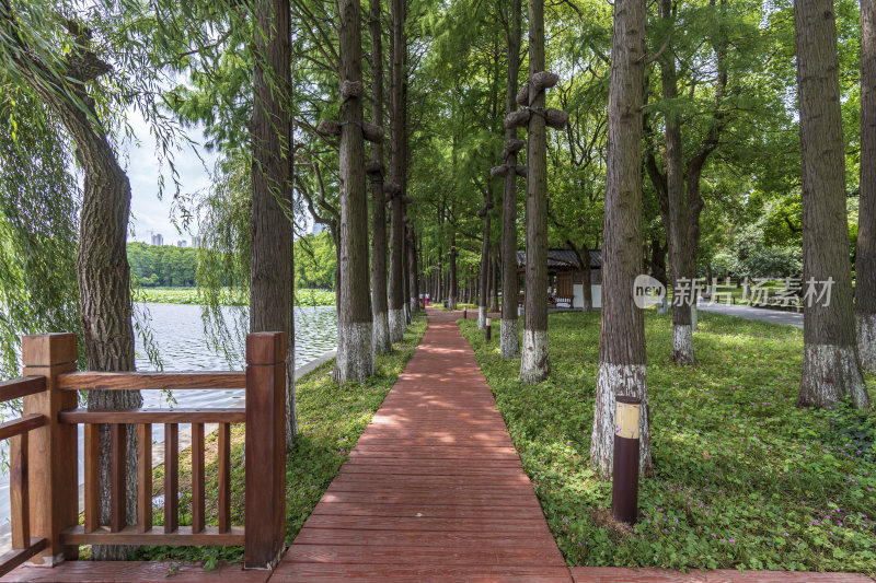 武汉东湖风景区景点风光