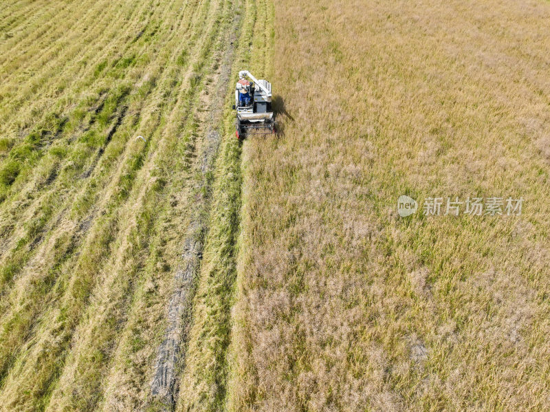 航拍夏收正当时