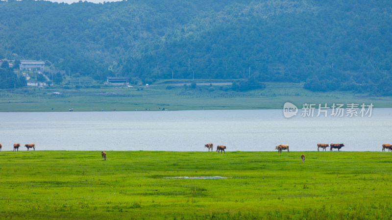 文海丽江风景