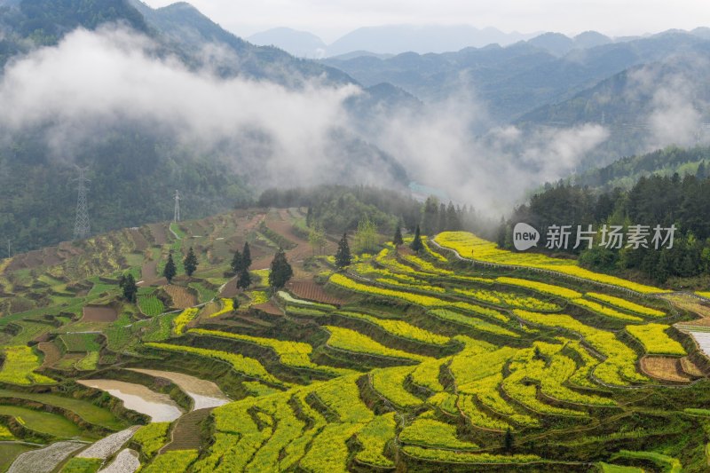 重庆酉阳：青山雾漫别样美