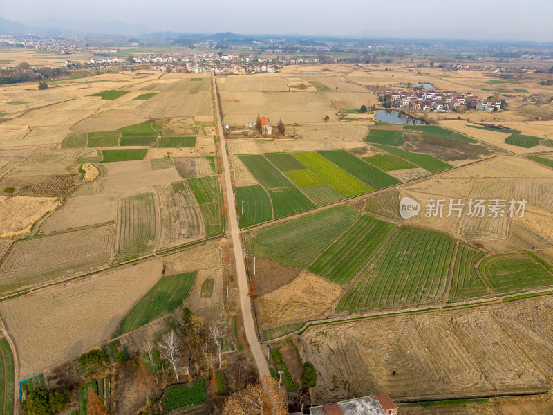 集中乡村田园风光航拍图