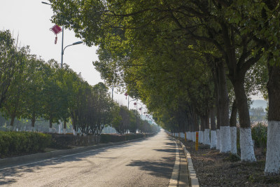 笔直的道路