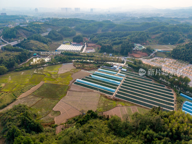 山区农业种植农田航拍图