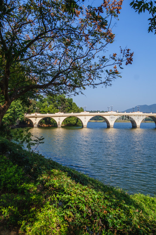 湖畔石桥与绿植风景