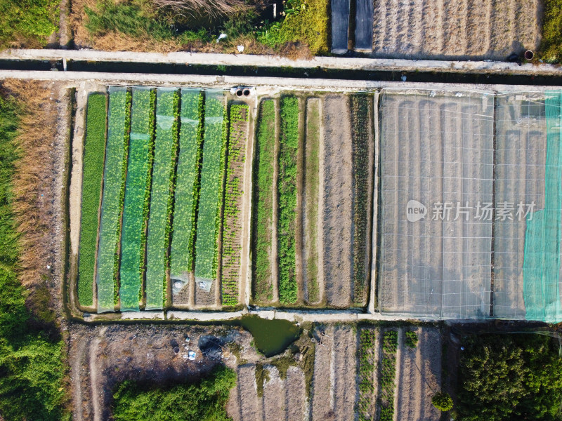 农田航拍俯瞰全景