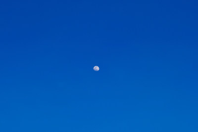 月亮在蓝天下的低角度视图