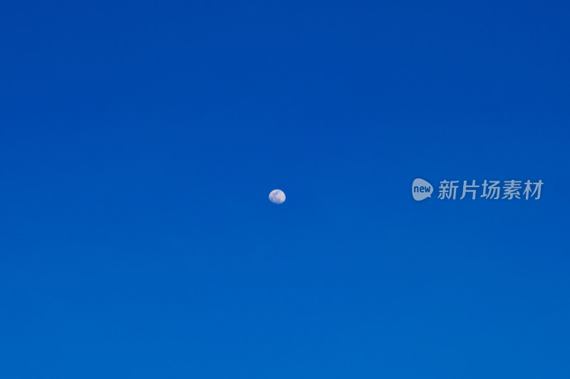 月亮在蓝天下的低角度视图