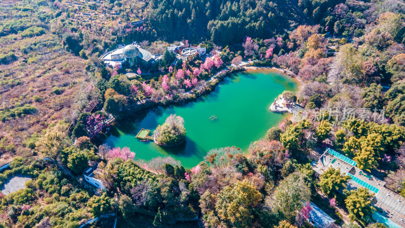 大理蝴蝶泉景区