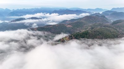 重庆酉阳：雄狮河的早晨