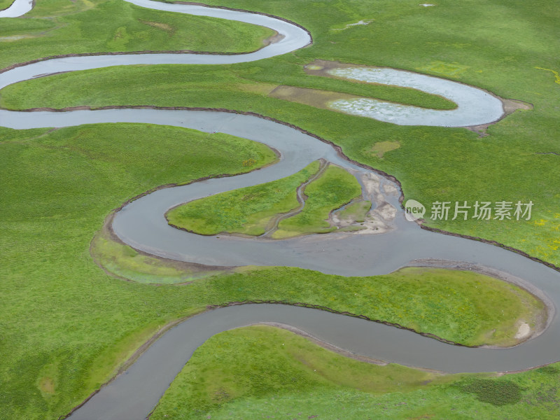 黄河草原湿地