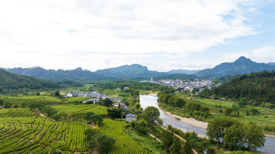 航拍武夷山绿色农田与茶园