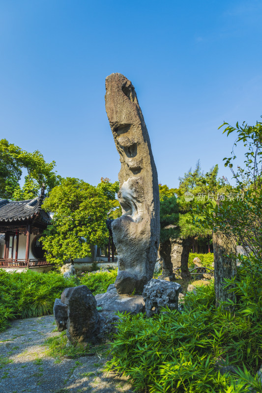 初秋时节，苏州园林留园，清晨无人的冠云峰