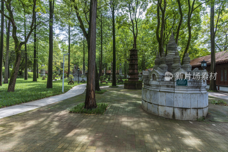 武汉江岸区解放公园风景