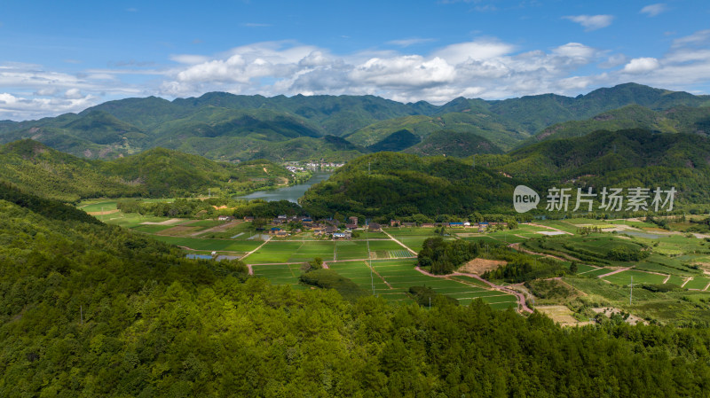 航拍乡村绿色稻田 乡村振兴