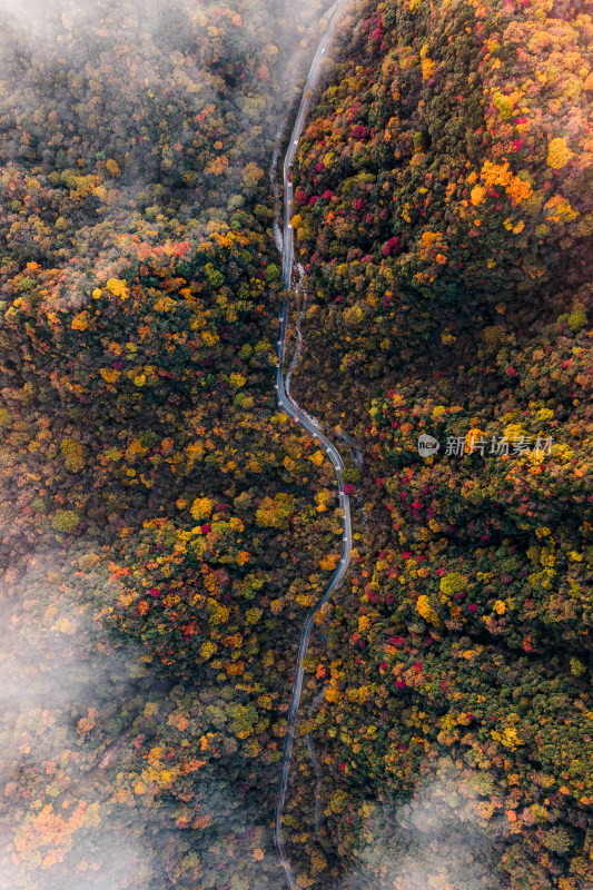 深秋的盘山公路