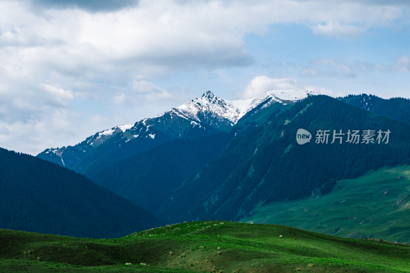 新疆伊犁琼库什台雪山森林草原风光