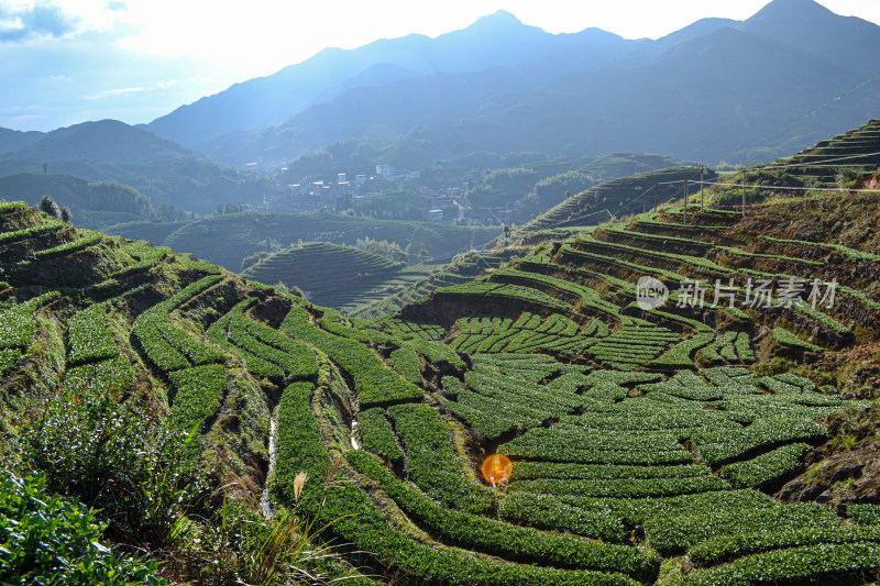 山林间的村庄全景