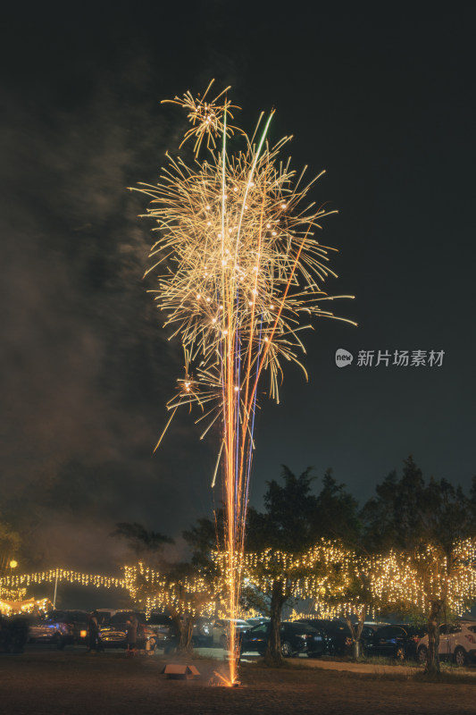 节日里燃放的喷花类烟花