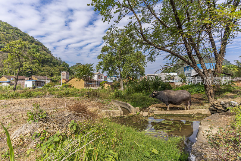 广西柳州市柳城县妙景屯农村建筑