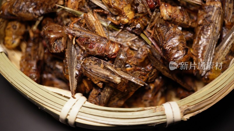 食用昆虫油炸蚂蚱蝗虫干炸蝗虫宠物饲料