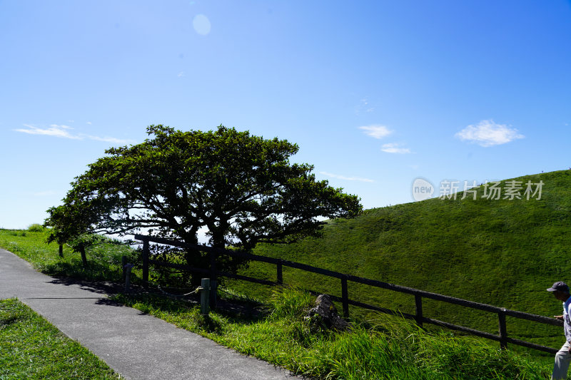 日本静冈县伊东市大室山仙人掌动物园