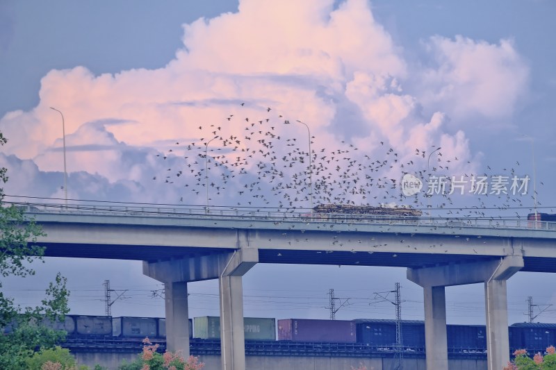 芜湖市内拍摄的火车穿行