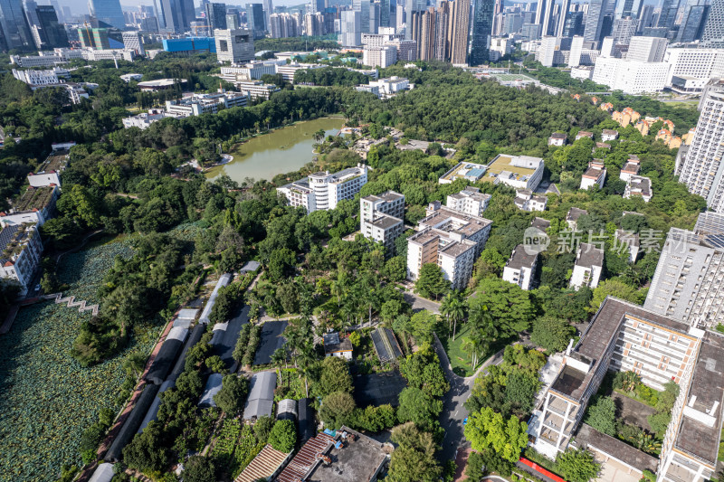 深圳大学粤海校区