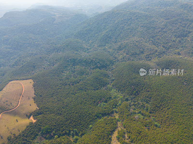 航拍山顶牧场田园风光