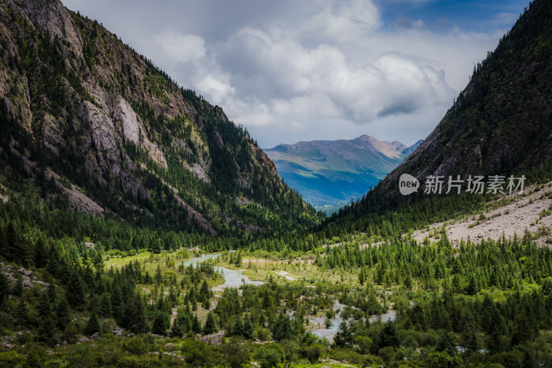 青翠山谷风景