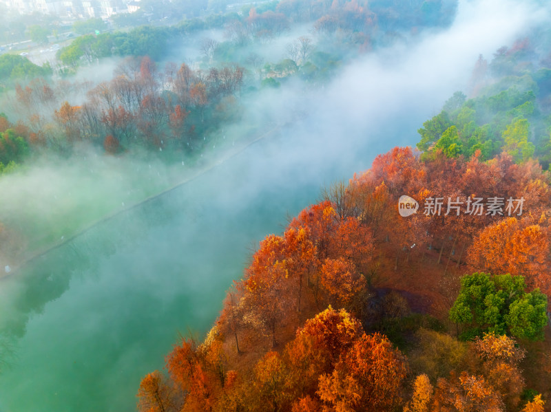 杭州西溪湿地自然风光