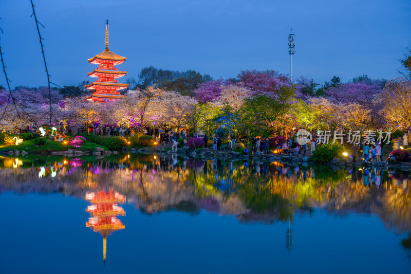 湖北武汉东湖樱园春季夜景风光