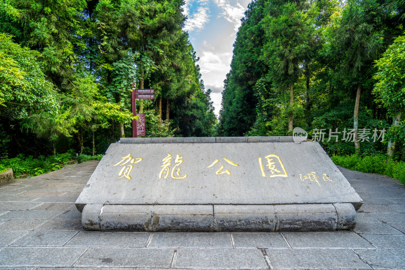 中国湖南张家界景区奇特山峰与茂密森林