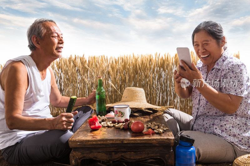 老年夫妇在麦田