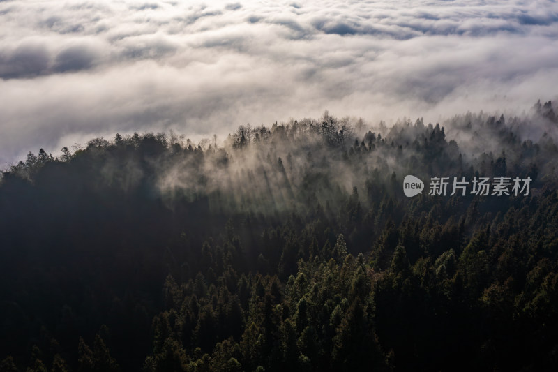 湖北利川毛坝镇大茅坡日出时刻风景如画丛