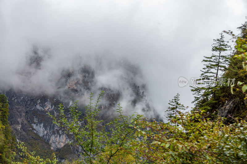 秋天树林云雾山峰