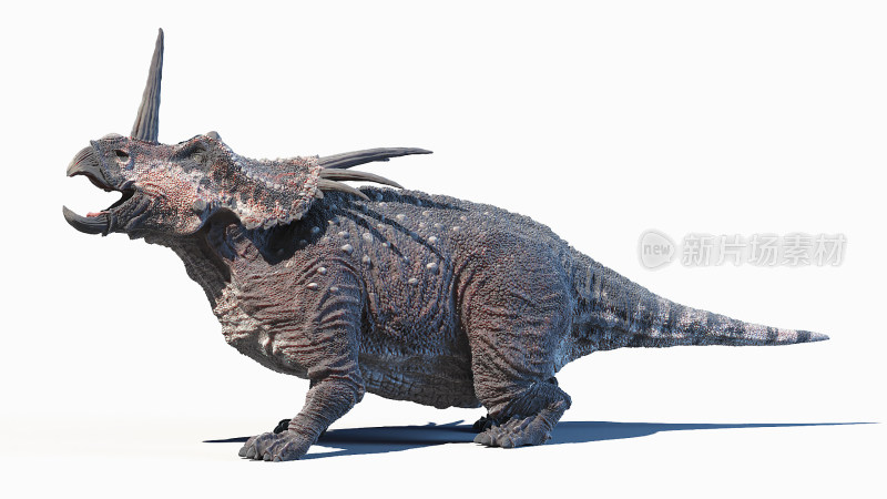 大型食肉恐龙