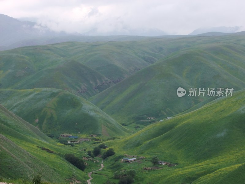 阴天下的草原