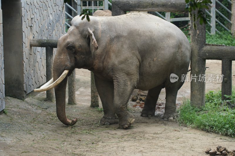 杭州风光 西湖风光