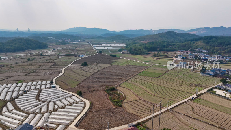 秋收后农田农民种植油菜航拍图