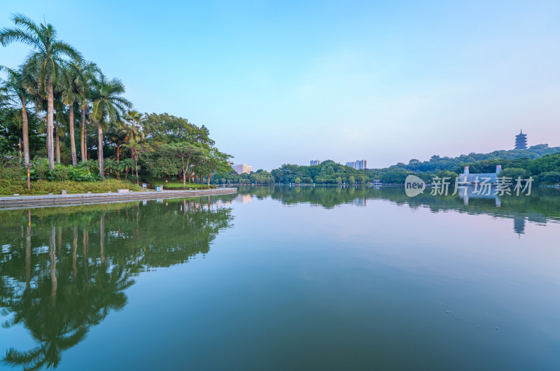 佛山千灯湖公园湖泊树林景观