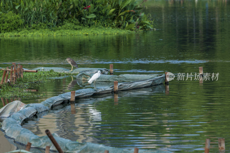 武汉汉阳墨水湖公园湿地公园