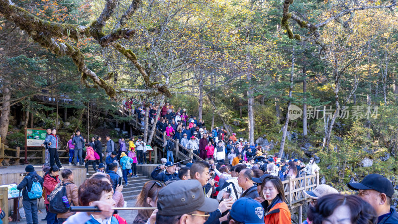 四川九寨沟景区游玩拍照的游客