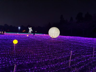 灯光秀灯光节