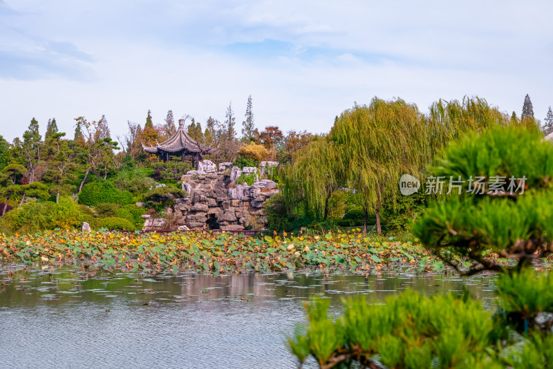 晴朗的午后，扬州瘦西湖江南园林风景